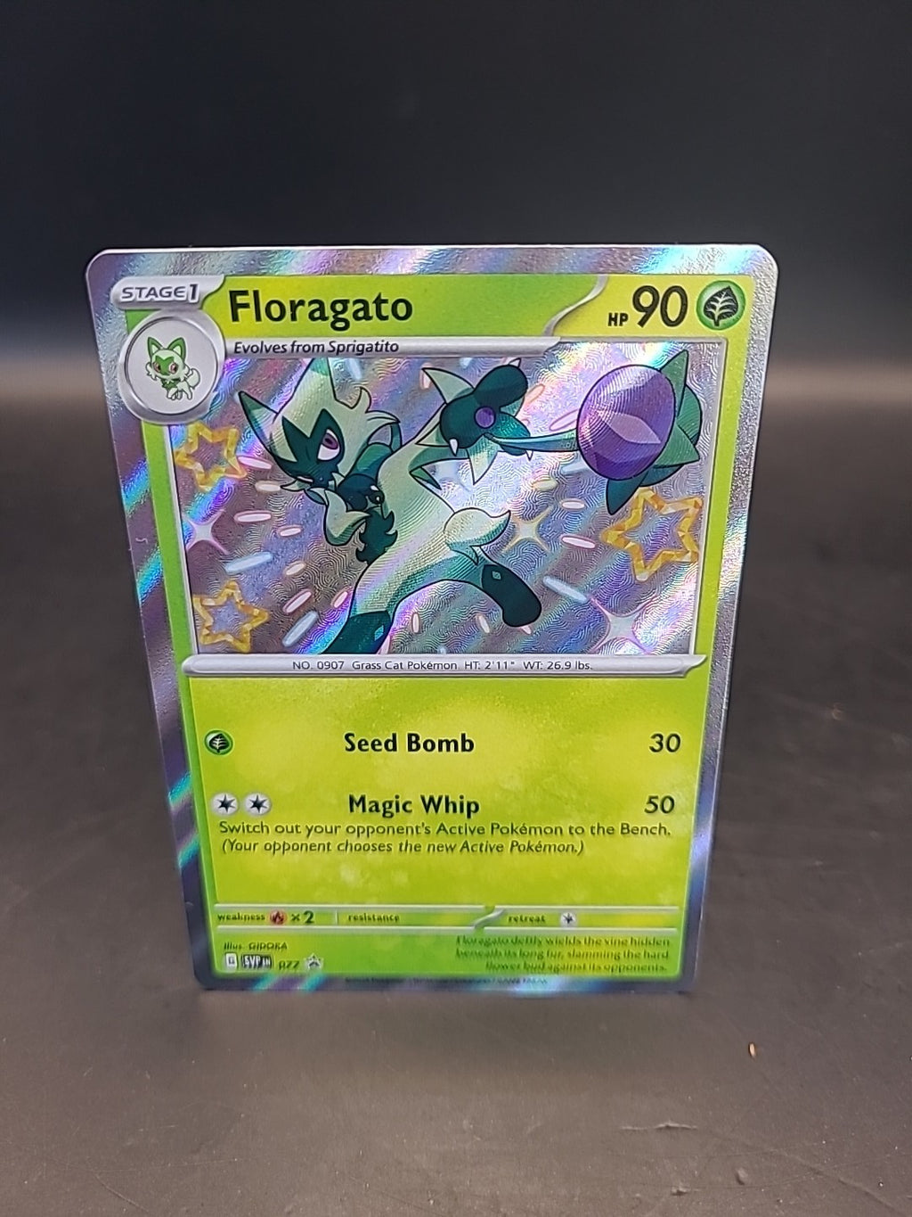 Pokemon Card Floragato SVP077 Holo Black Star Promo