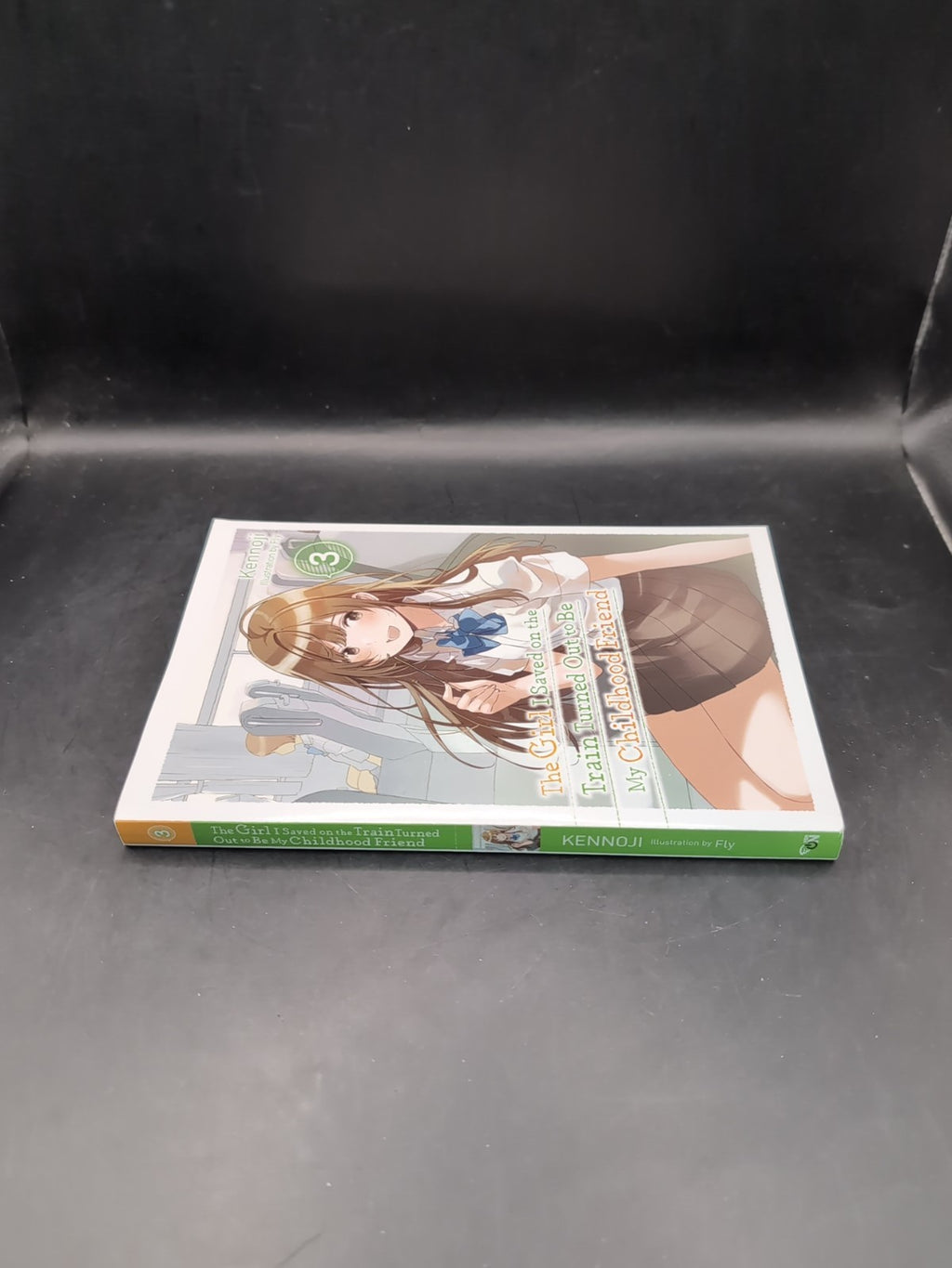 The Girl I Saved on the Train Turned Out to Be My Childhood Friend, Vol. 3 (ligh