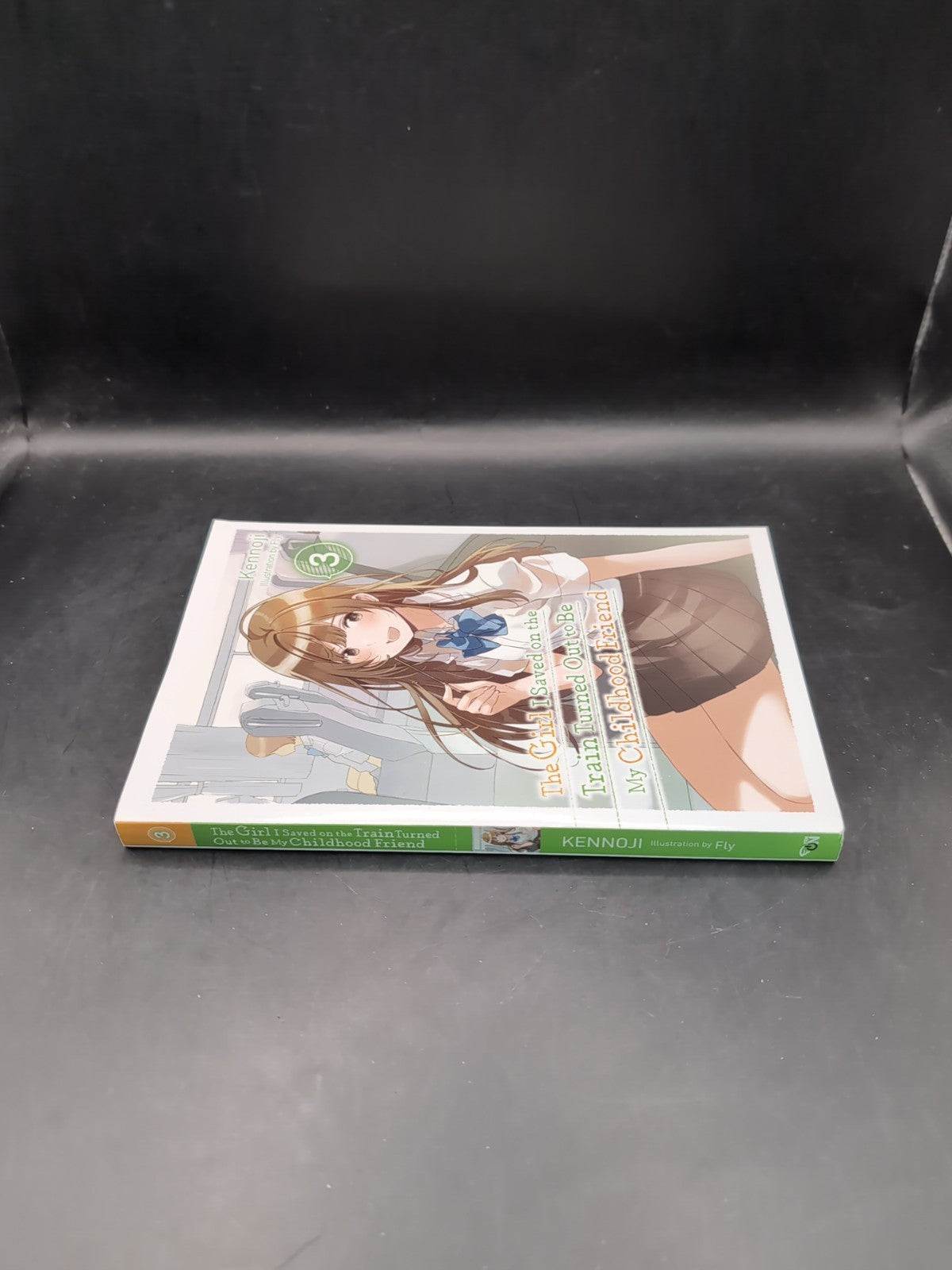 The Girl I Saved on the Train Turned Out to Be My Childhood Friend, Vol. 3 (ligh