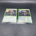 MTG Pippin's Bravery (FOIL) C0182 + Regular Card