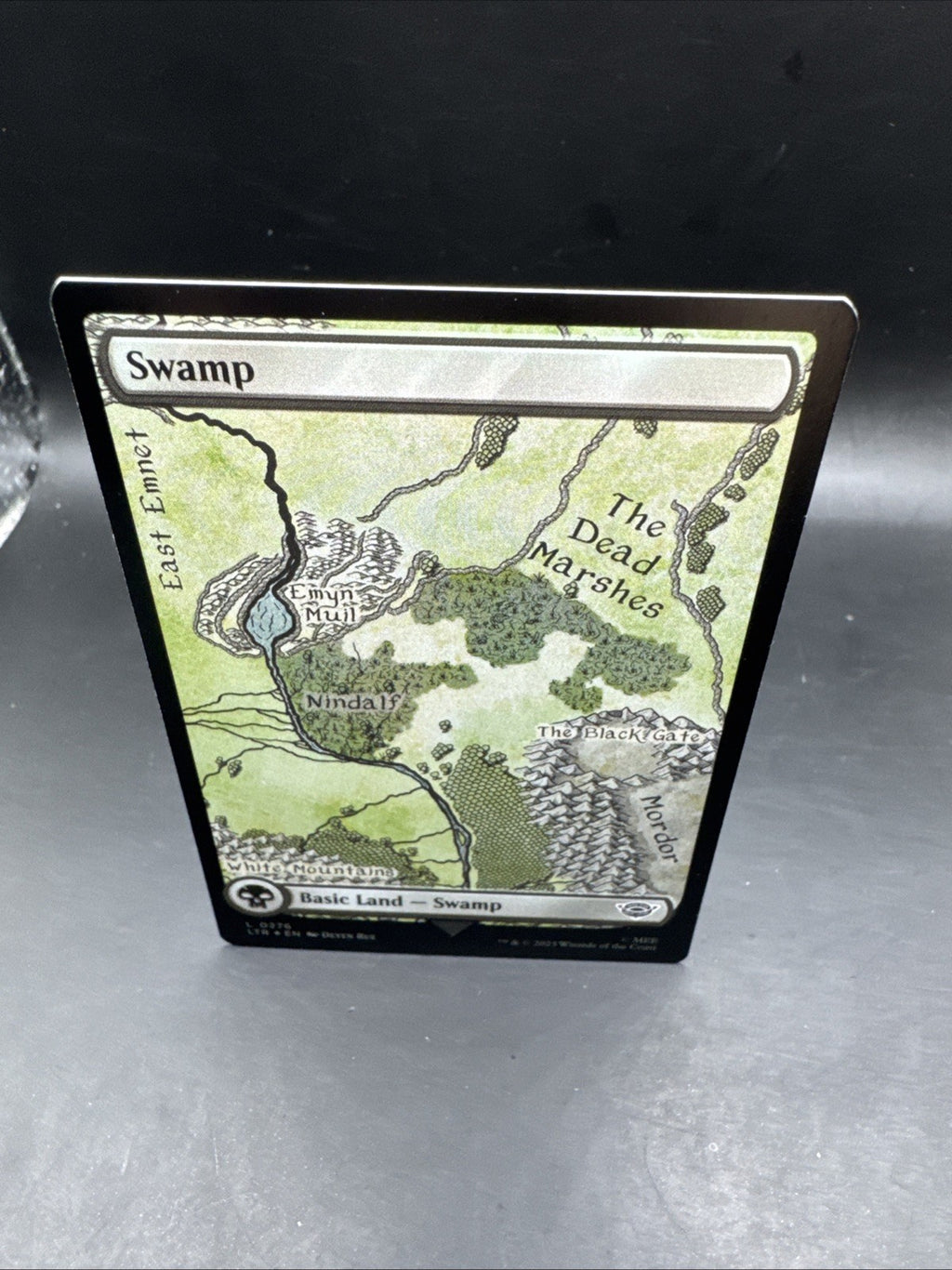 Swamp - L0276 - Foil - LOTR - MTG