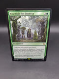 Assemble the Entmoot 0036 Non Foil Rare LOTR Commander MTG Near Mint
