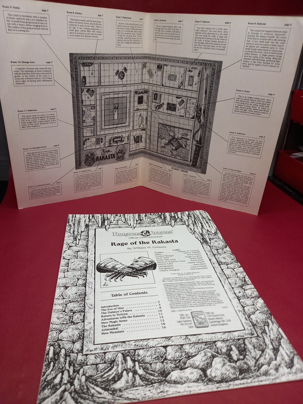 Dungeons and Dragons Rage Of The Rakasta  Book Only