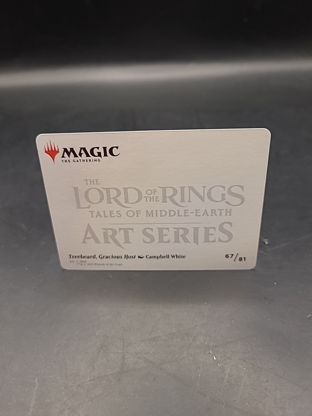 1x Art Series (67/81) - Treebeard, Gracious Host MTG The Lord of the Rings: Tale