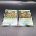 MTG Shower of Arrows FOIL C0188 LTR + Regular Card