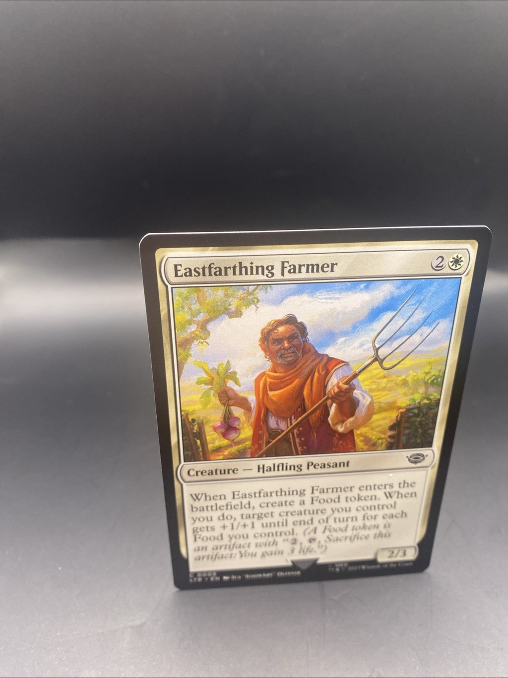 Eastfarthing Farmer - C0008 - Foil - LOTR - MTG + 1 Regular Card