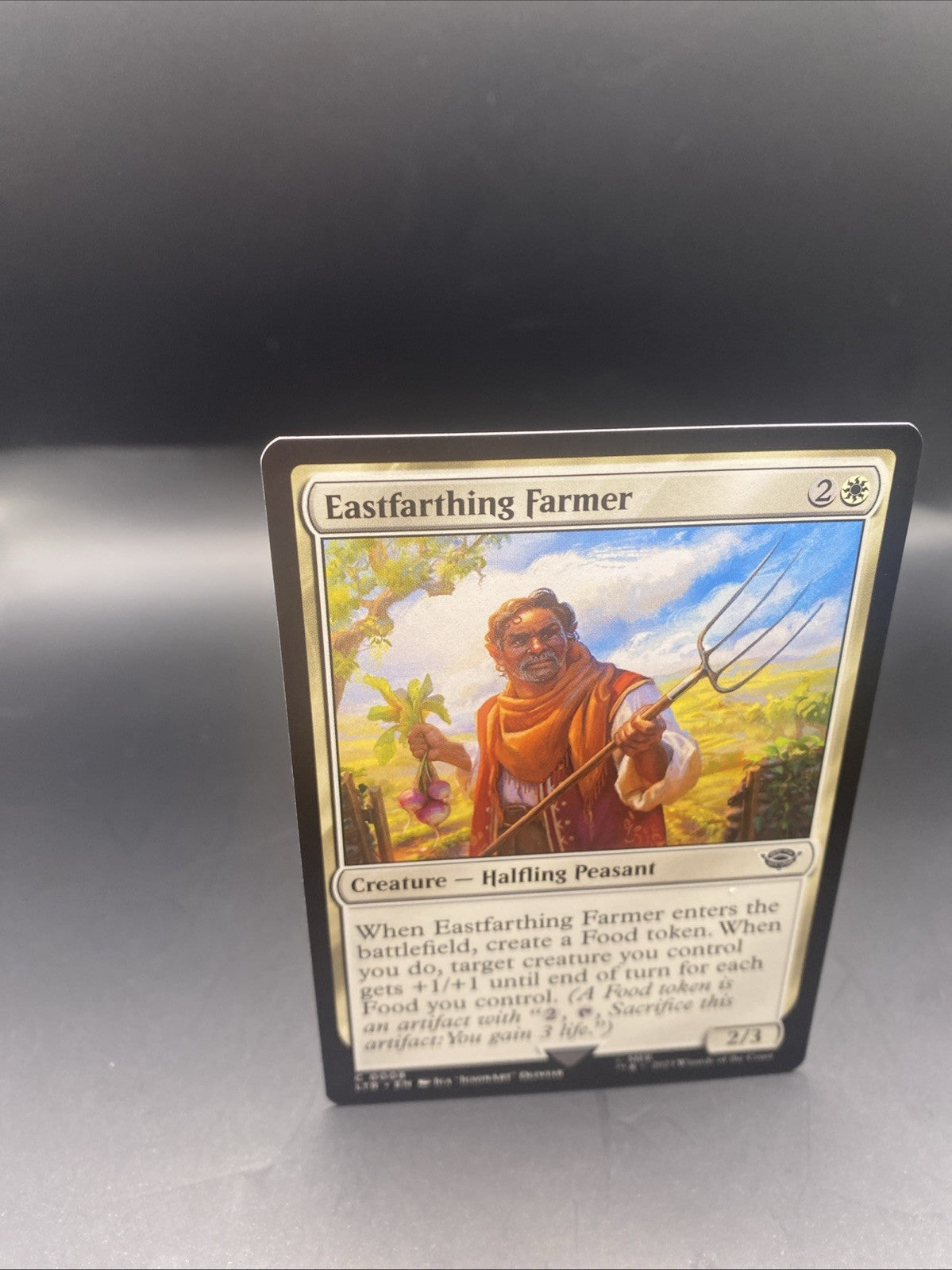 Eastfarthing Farmer - C0008 - Foil - LOTR - MTG + 1 Regular Card