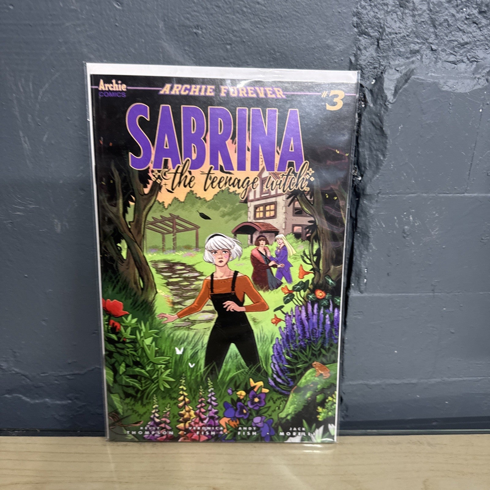 SABRINA TEENAGE WITCH #3 (OF 5) CVR A FISH