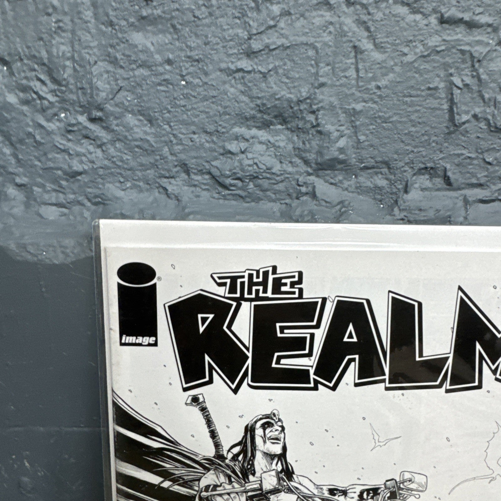 2017 Image Comics The Realm 2 Jeremy Haun B&W Tony Moore Homage Cover D Variant 