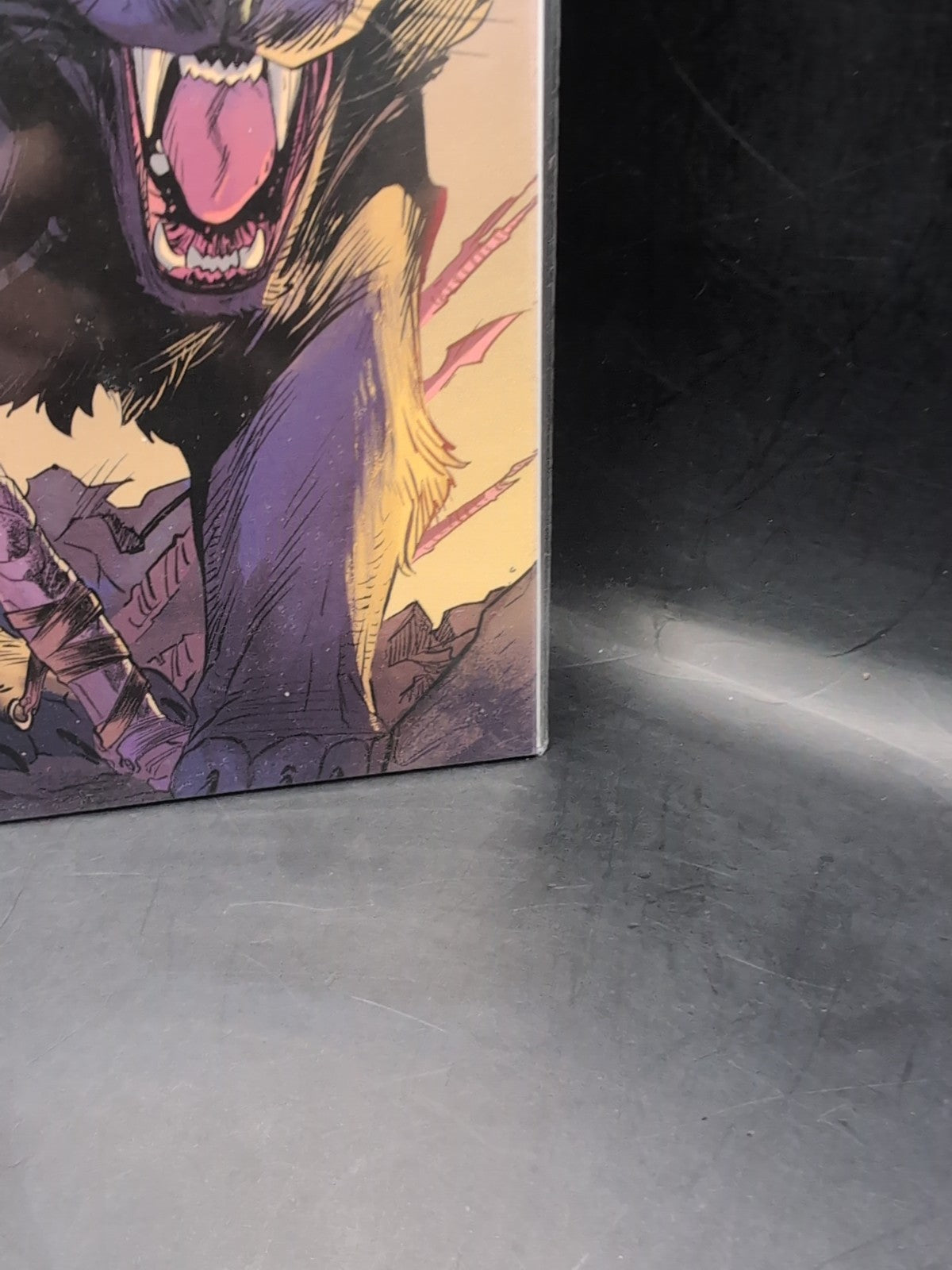 Rose Issue 1 | Image Comics | Meredith Finch