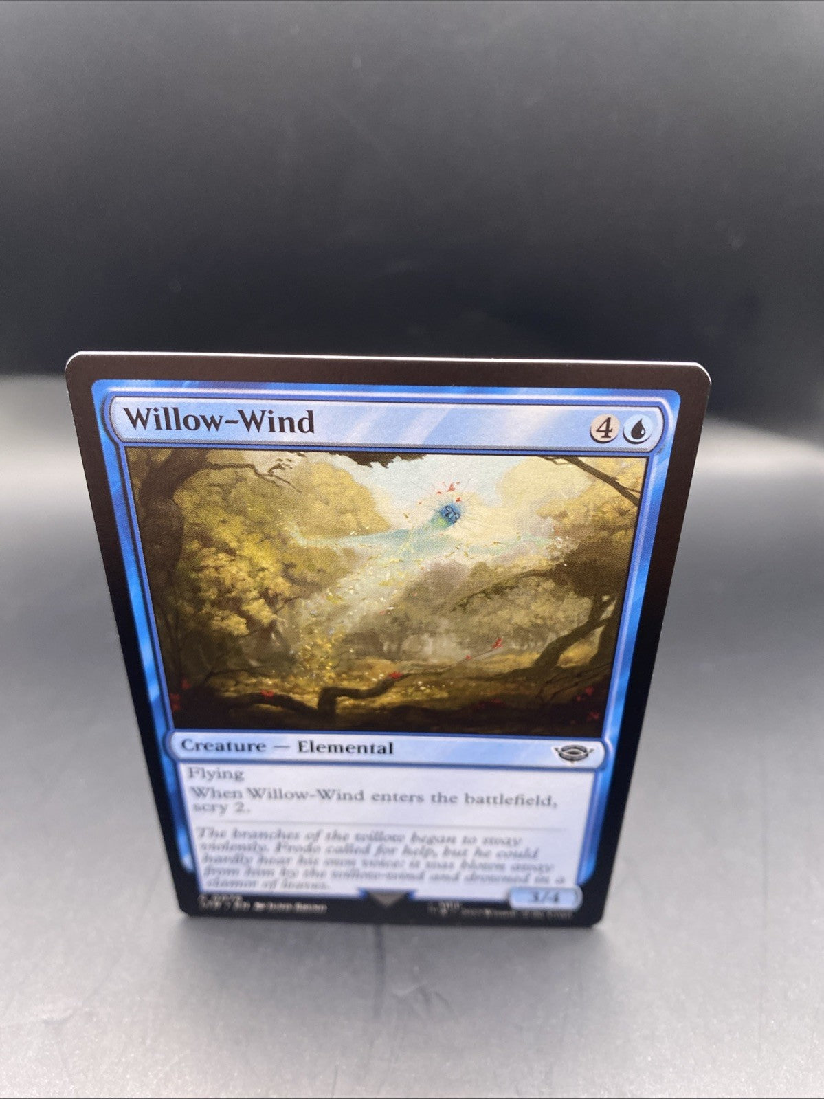 MTG Willow-Wind (Foil) [Tales of Middle-Earth, Near Mint] + Regular Card