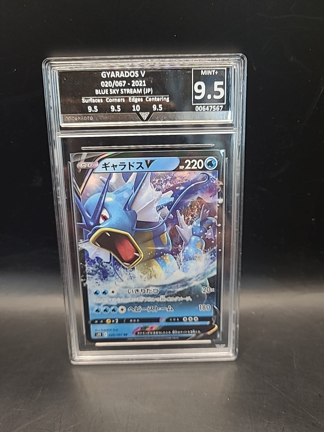 Graded Pokemon Card Gyarados V 020/067 Sky Stream Japanese 9.5