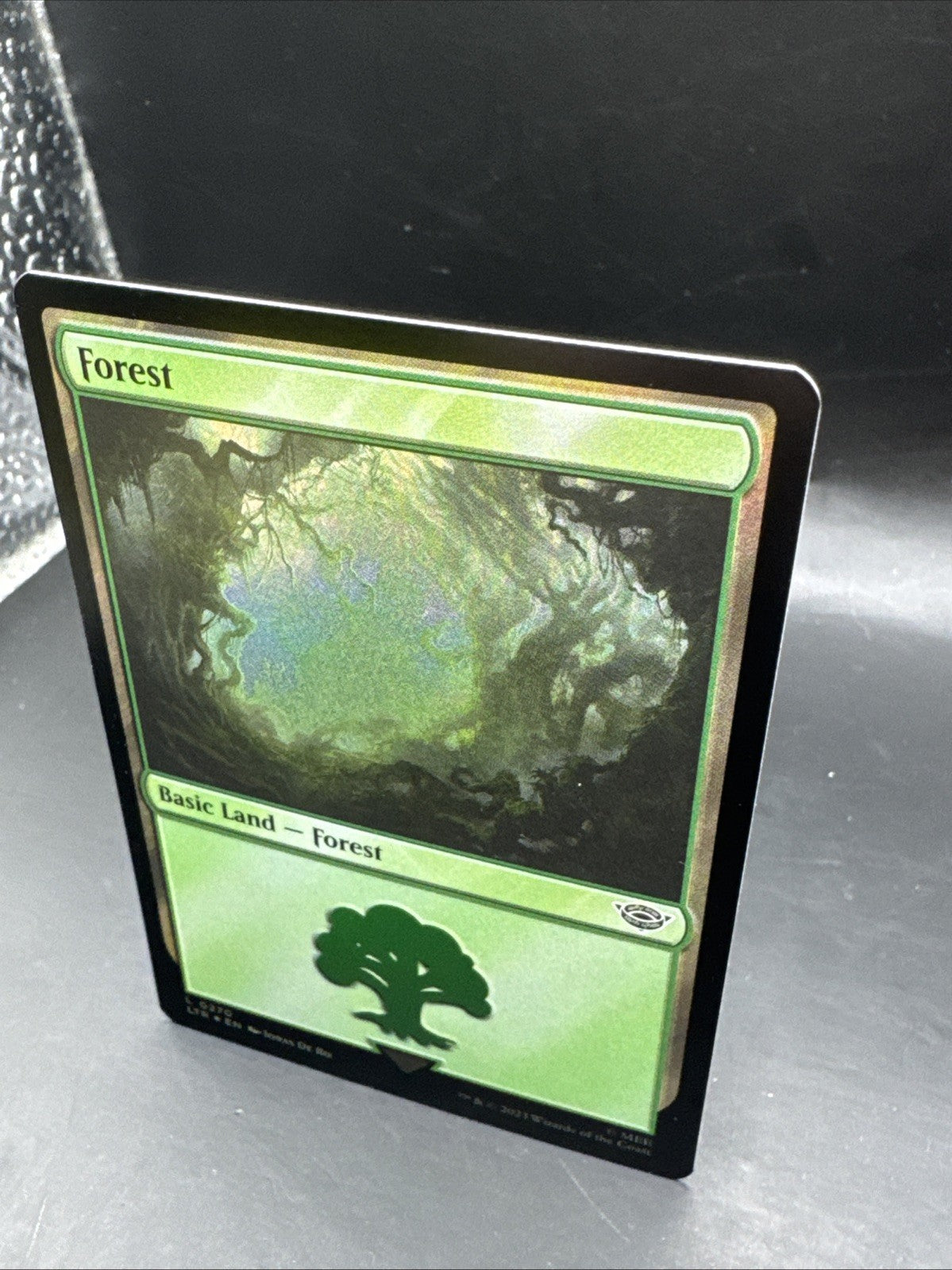 Forest (0270) #270 (Foil) Lord of the Rings LTR Magic MTG