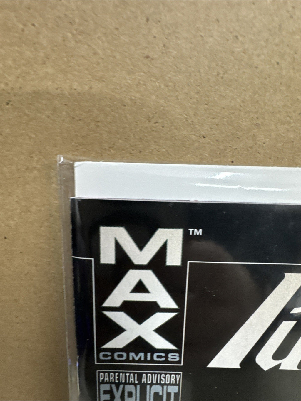 COMIC BOOK MAX COMICS THE PUNISHER #20
