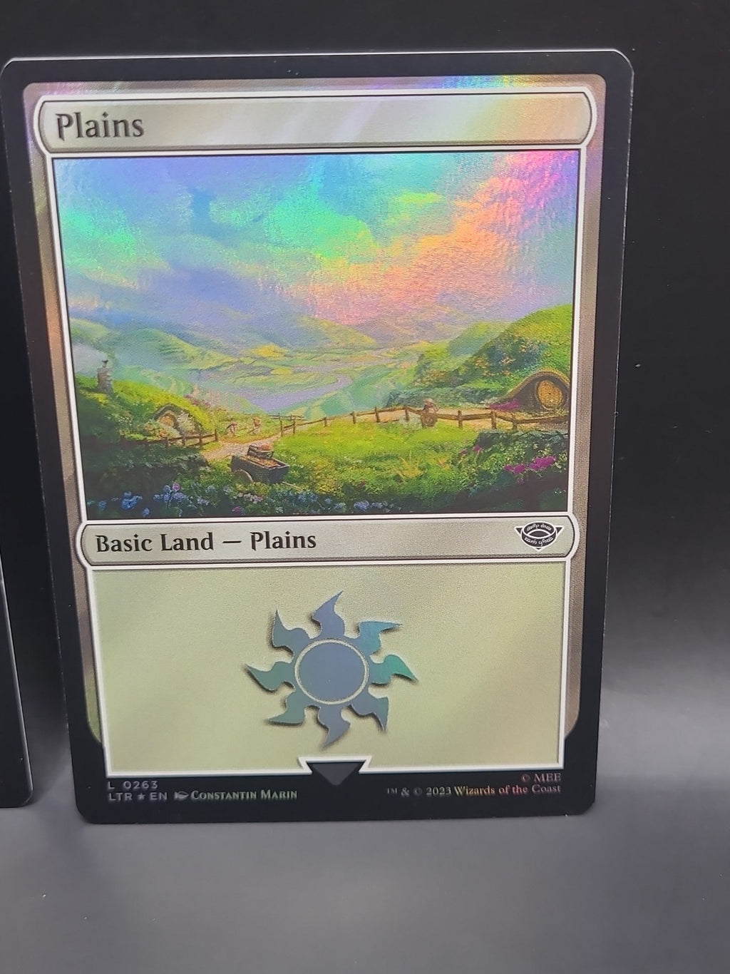 Plains (0262 & 0263)(Foil) (NM) Lord of the Rings LTR Magic MTG