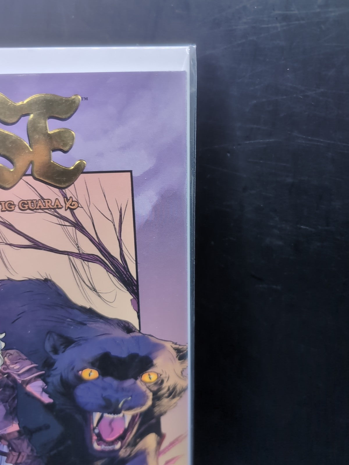 Rose Issue 1 | Image Comics | Meredith Finch