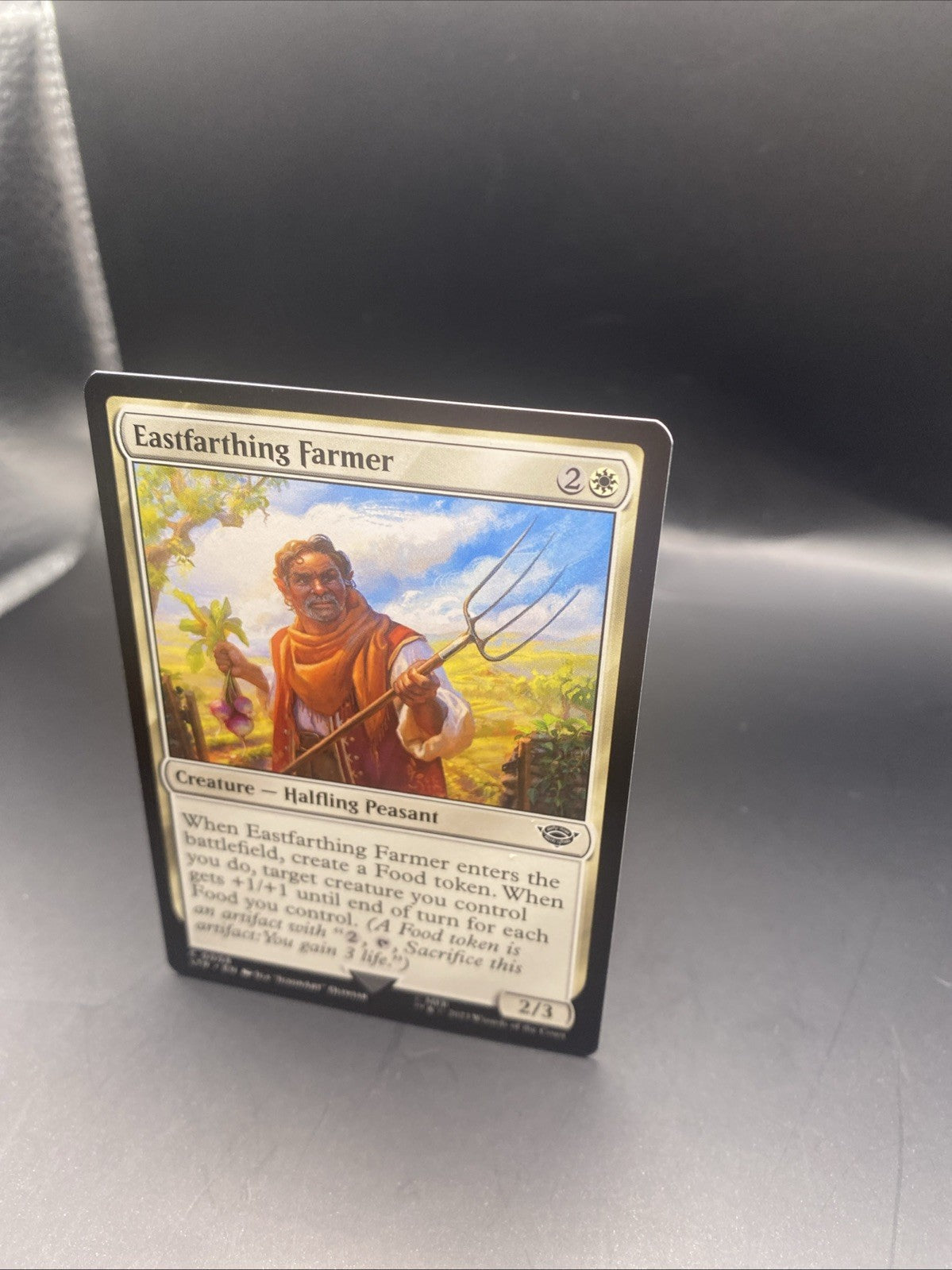 Eastfarthing Farmer - C0008 - Foil - LOTR - MTG + 1 Regular Card