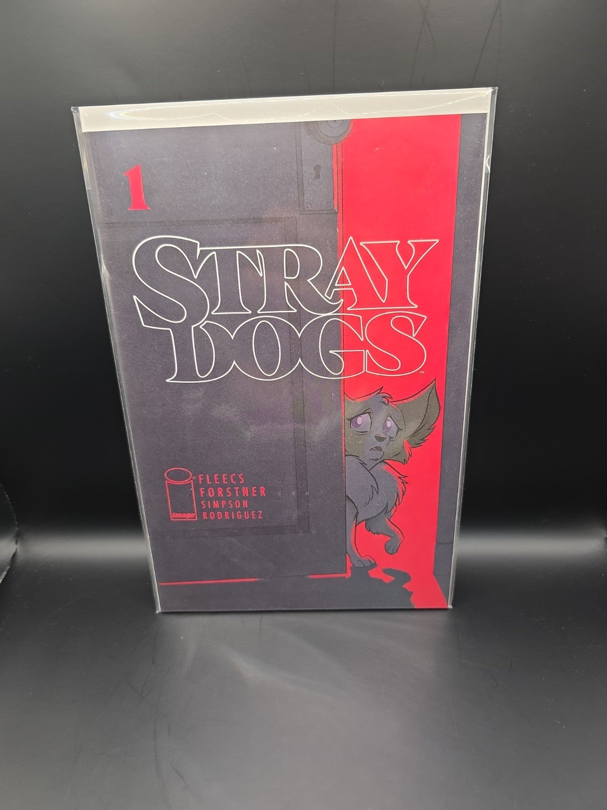 Stray Dogs #1 1st Print Tony Fleecs A Cover Image 2023 MINT