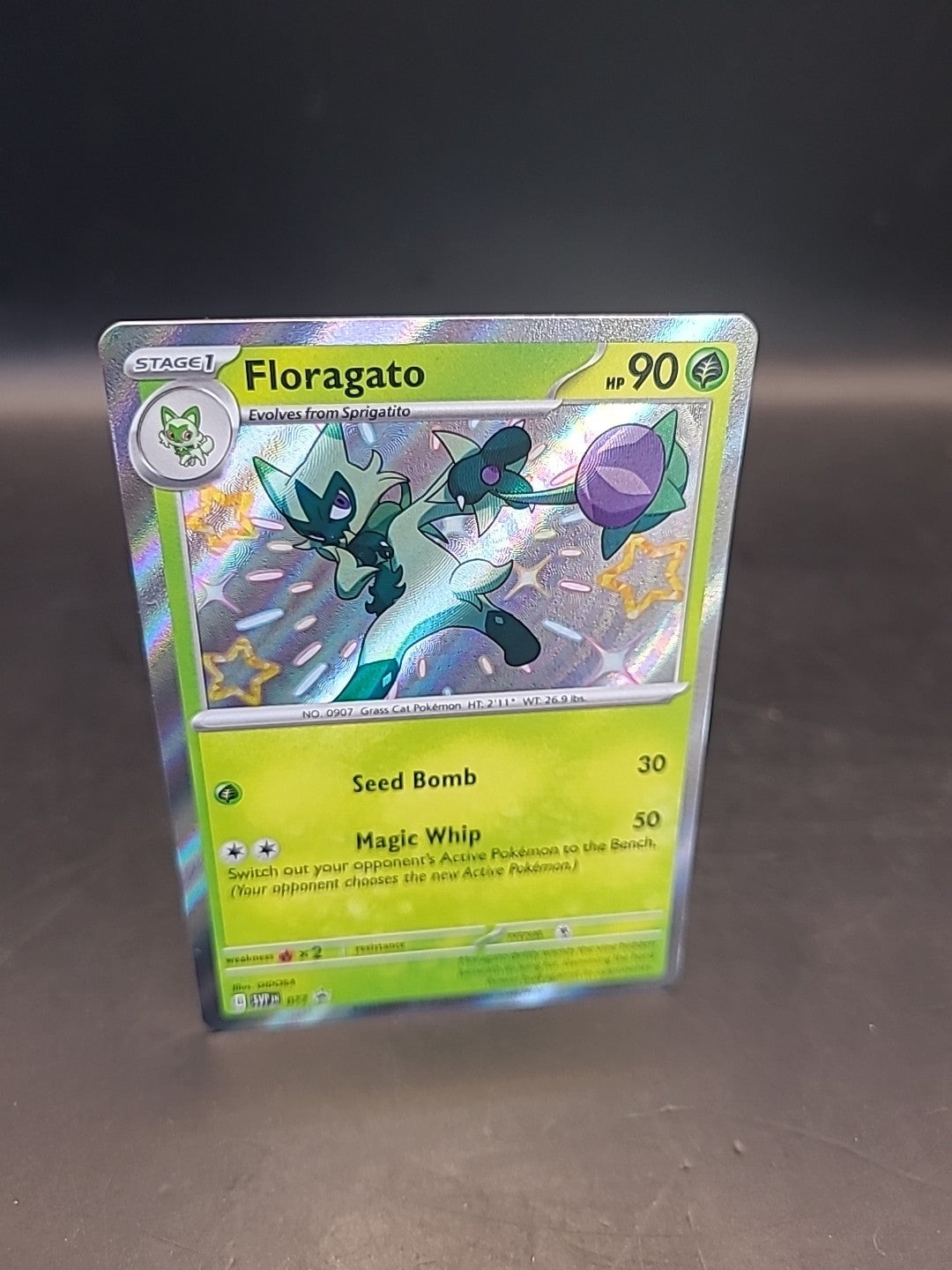 Pokemon Card Floragato SVP077 Holo Black Star Promo