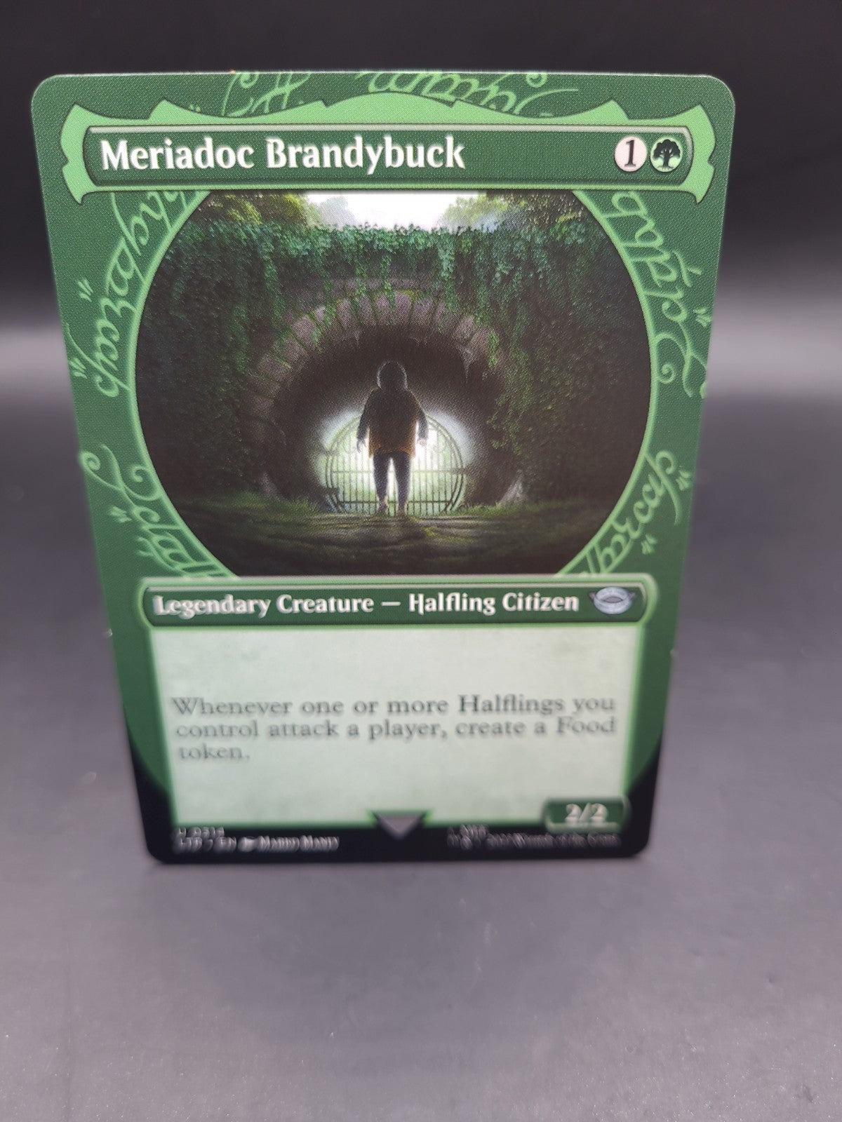 X 1 Meriadoc Brandybuck NM-M Regular The Lord of the Rings 314 MTG Magic