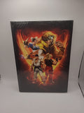 Street Fighter V Collector's Edition Game Guide Hardback Book