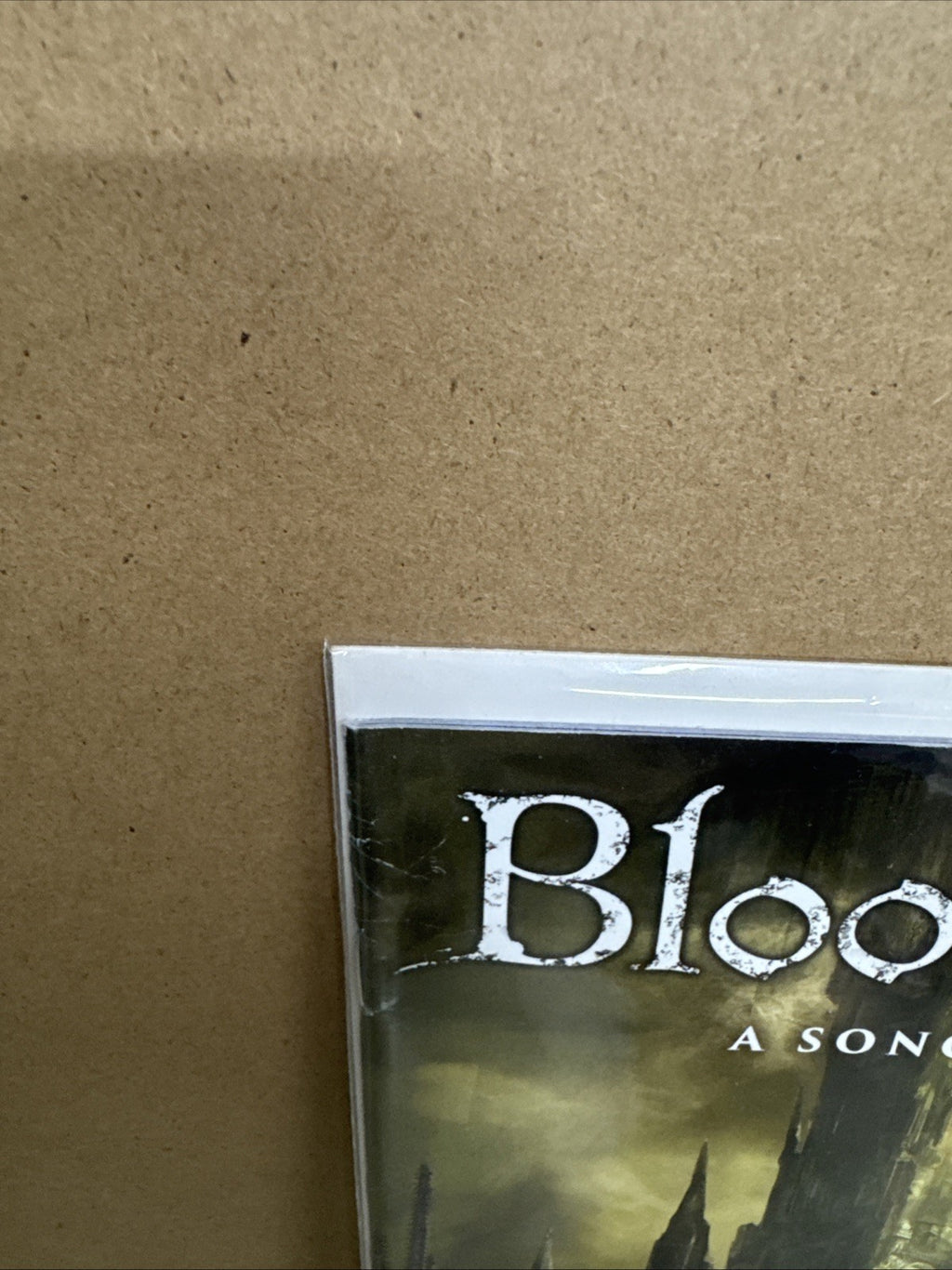 Bloodborne A Song of Crows #12 Cover C Video Game Variant - Titan Comics