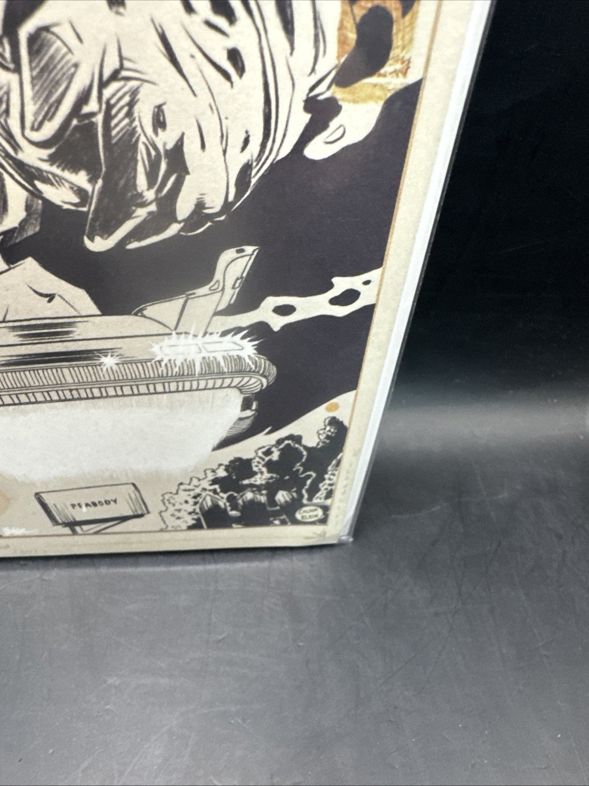 Back To The Future #1 Dan Schoening 1:10 Incentive Variant IDW Comics 2015