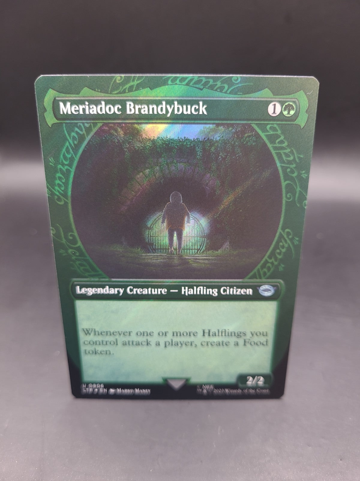 1x (806) Meriadoc Brandybuck - SURGE FOIL - Showcase MTG The Lord of the Rings: 