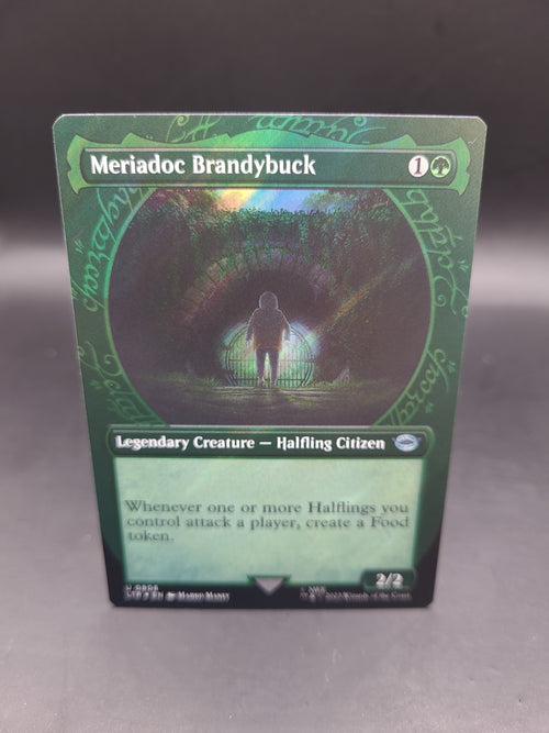 1x (806) Meriadoc Brandybuck - SURGE FOIL - Showcase MTG The Lord of the Rings: 