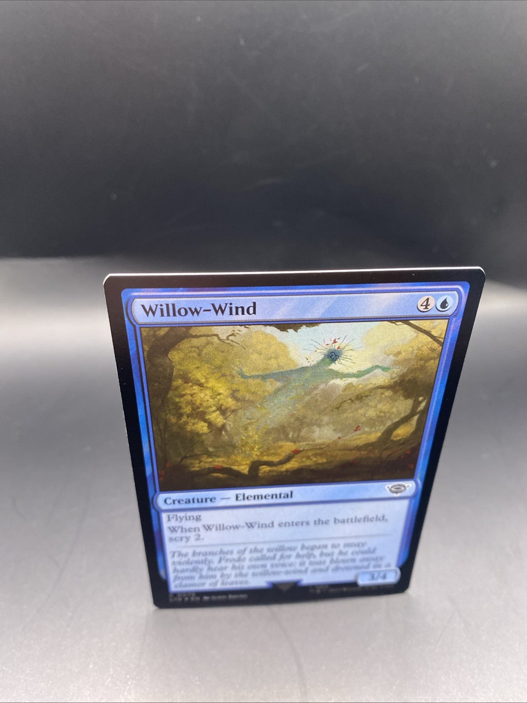 MTG Willow-Wind (Foil) [Tales of Middle-Earth, Near Mint] + Regular Card