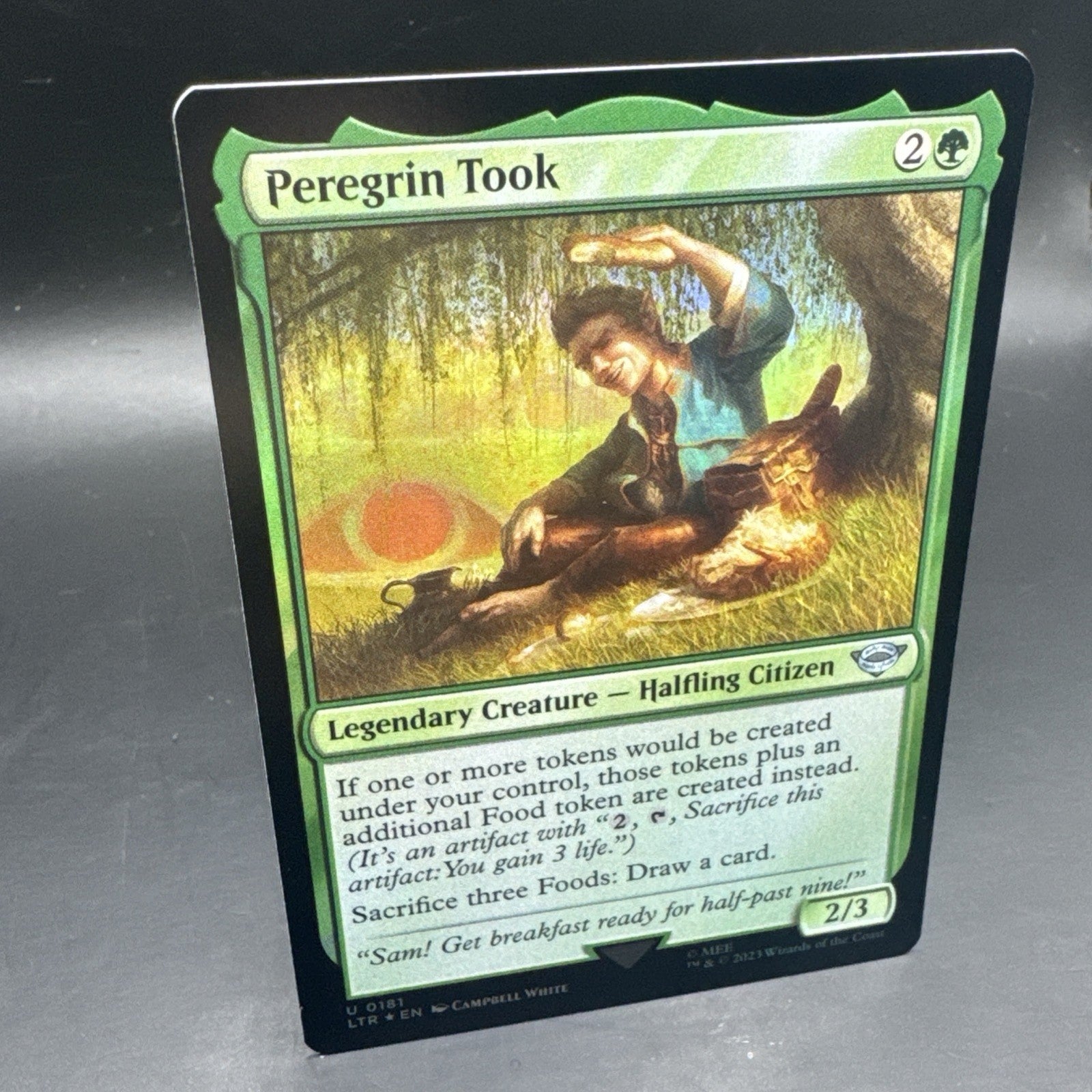 Peregrin Took Foil U0181 MTG