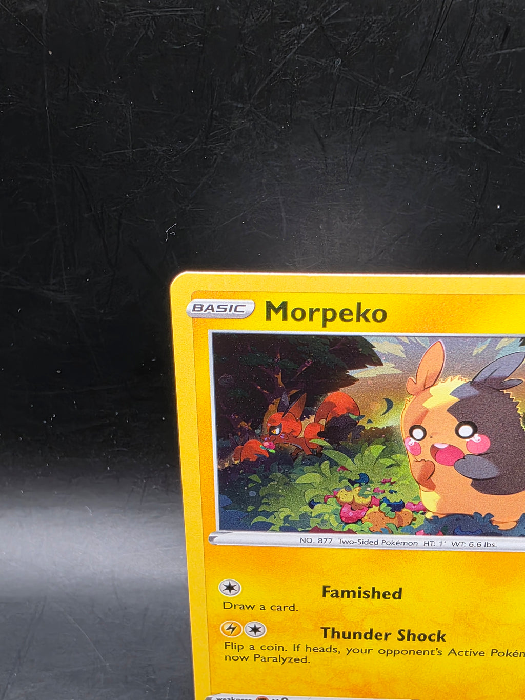 Pokemon Morpeko TCG SWSH116 Black Star Promo Holo Card