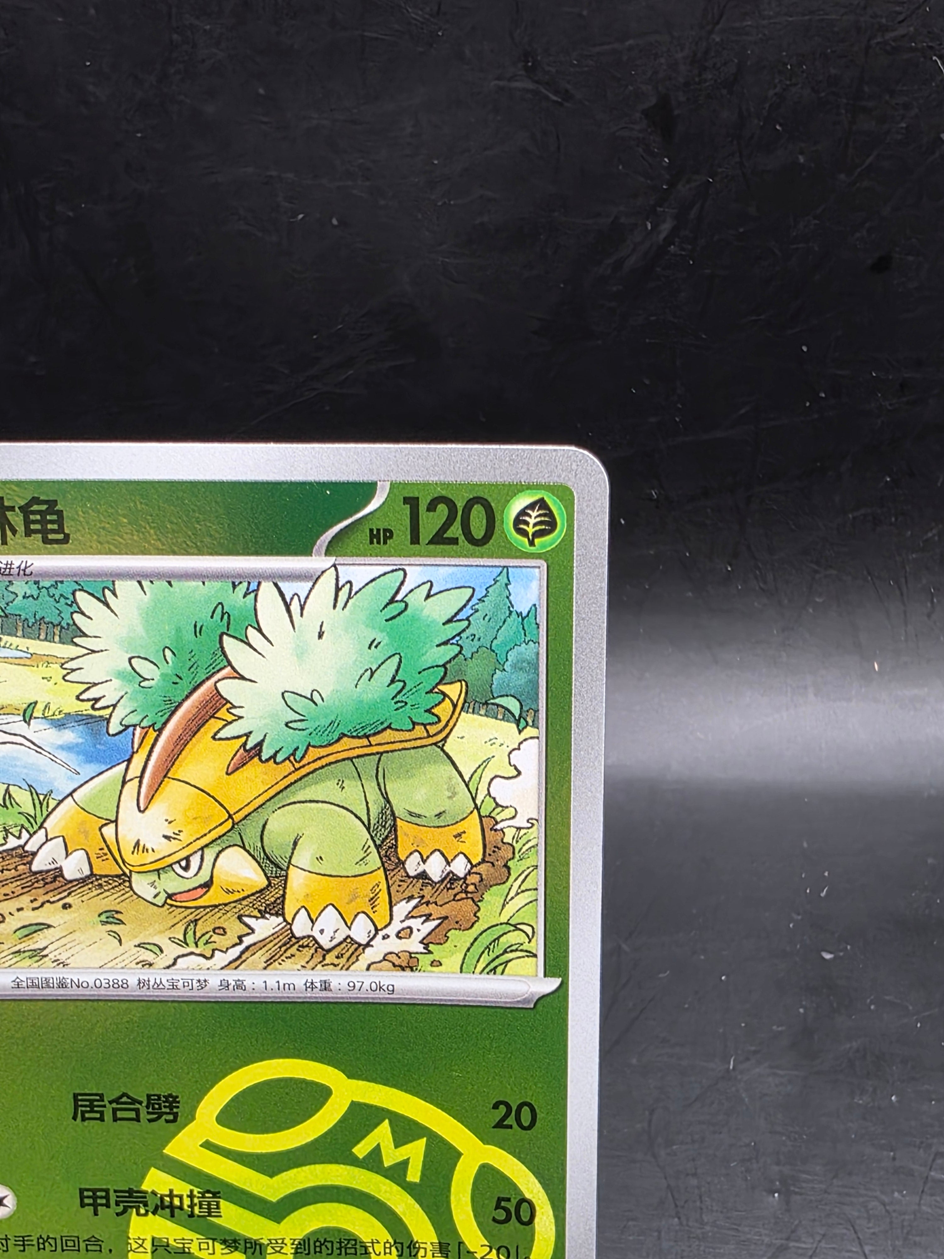 Grotle 0805/07 Gem Pack Volume 4 Master Ball Holo Pokemon Chinese Near Mint