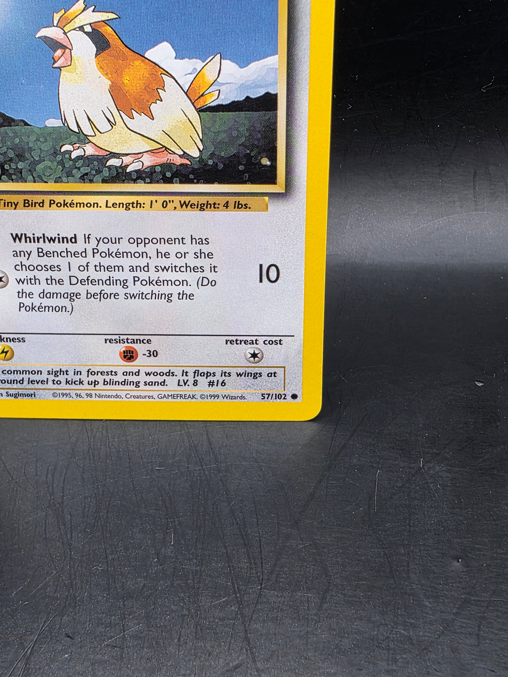 Wizards of the Coast Pidgey Base Set Common English 1999 #57/102