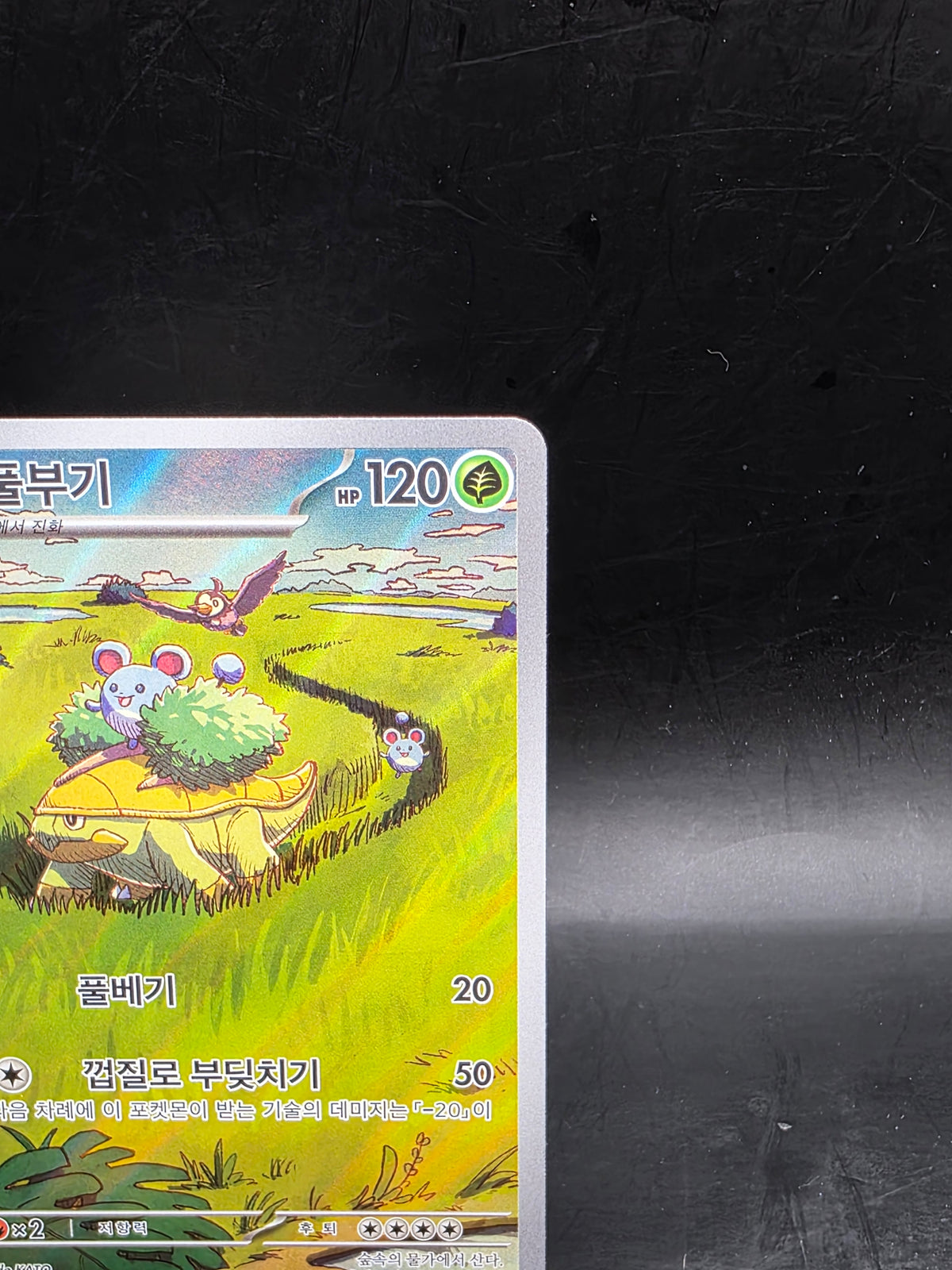 Pokemon TCG sv5k Grotle 072/071 AR Korean Wild Force Card Scarlet & Violet
