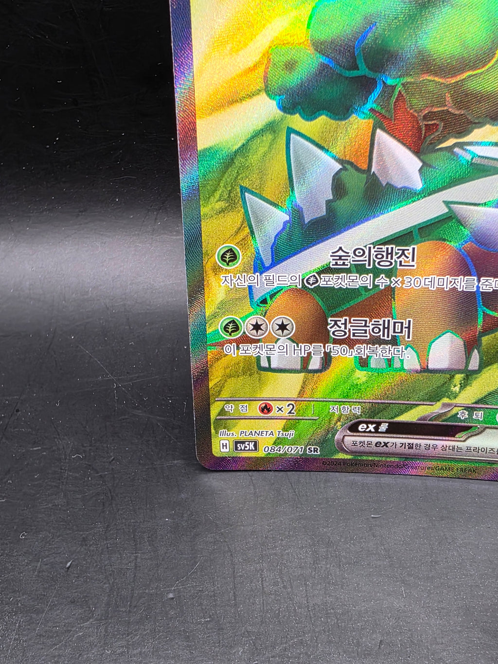 Torterra ex 084/071 sv5K: SR Full Art Holo EX 340 HP (Korean) Pokémon TCG