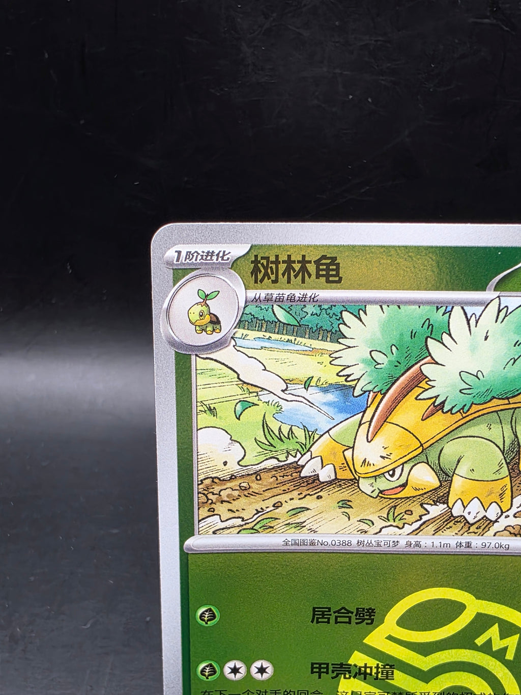 Grotle 0805/07 Gem Pack Volume 4 Master Ball Holo Pokemon Chinese Near Mint