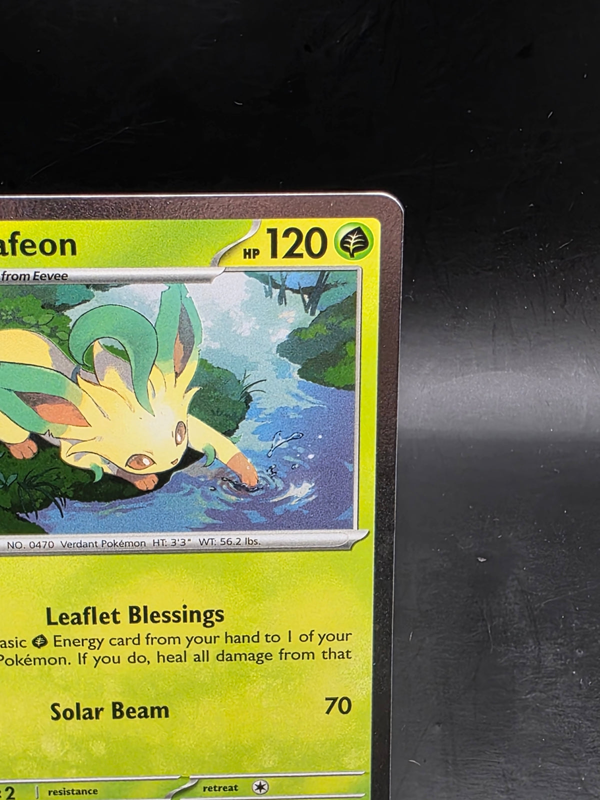 Leafeon SVP170 Scarlet & Violet Prismatic Evolutions Holo Promo Pokemon Card
