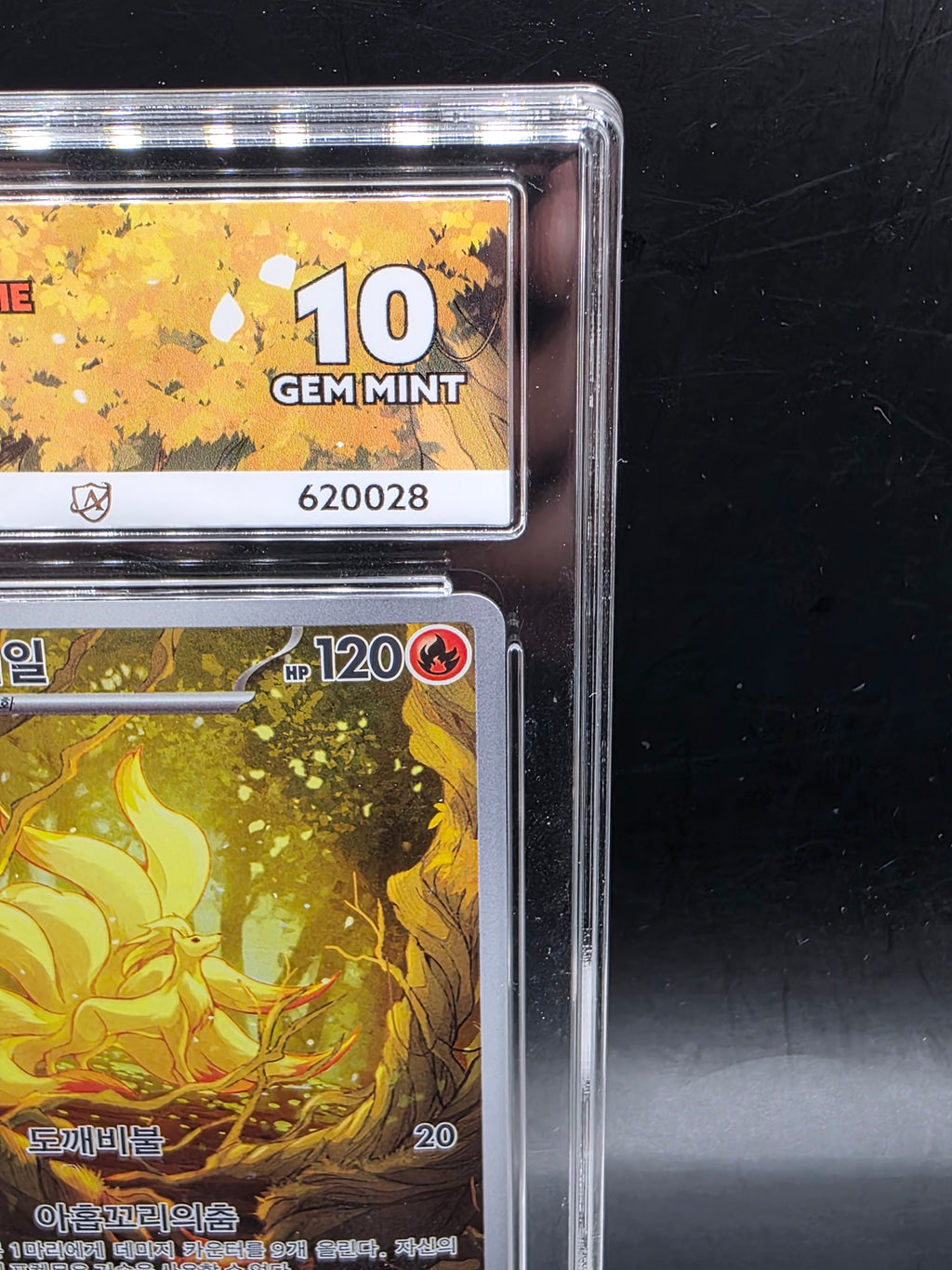 Pokémon Korean Ninetales AR 110/108 Ruler Of The Black Flame Ace 10