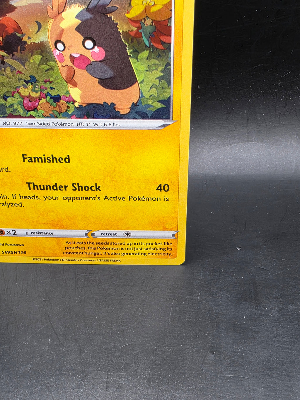 Pokemon Morpeko TCG SWSH116 Black Star Promo Holo Card