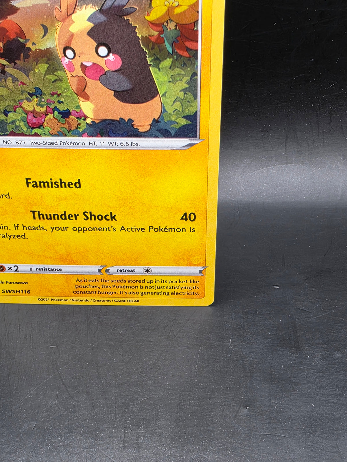 Pokemon Morpeko TCG SWSH116 Black Star Promo Holo Card