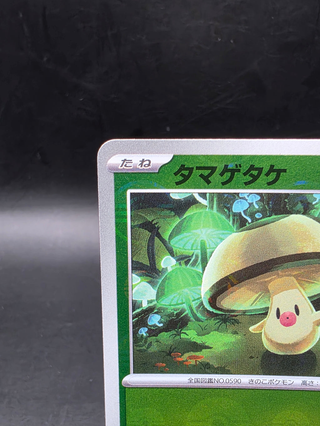 Foongus (Poke Ball) 010/086 SV11B: Black Bolt Pokemon Japanese Holo M/NM