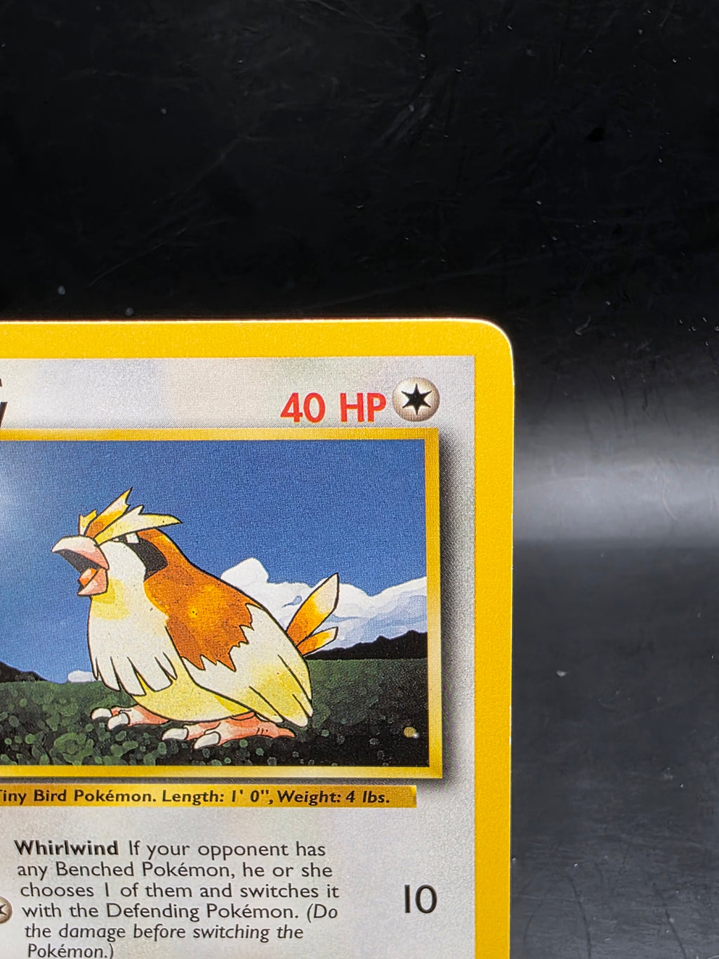 Pidgey 57/102 Common Base Set Unlimited Pokemon MP