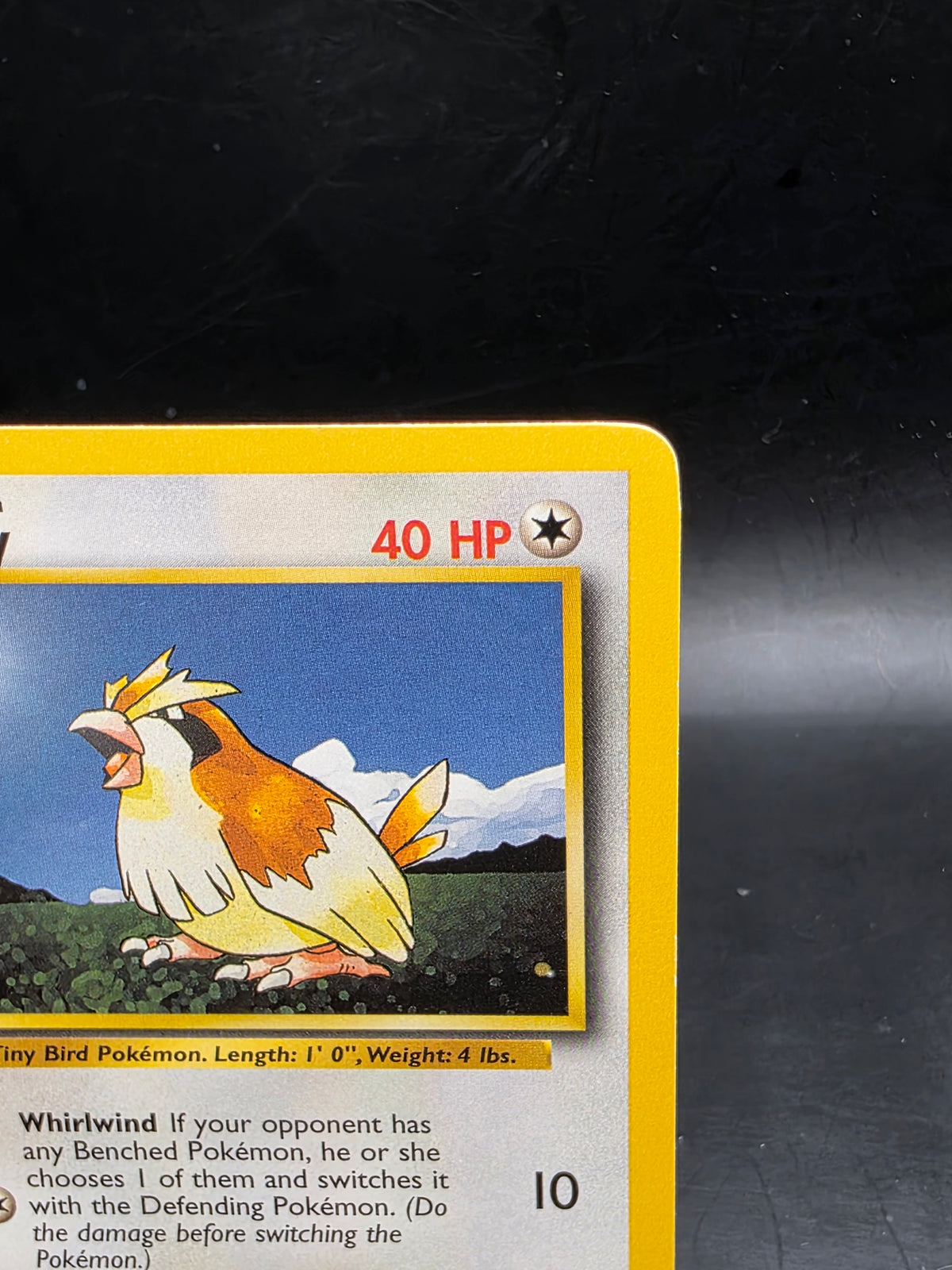 Pidgey 57/102 Common Base Set Unlimited Pokemon MP
