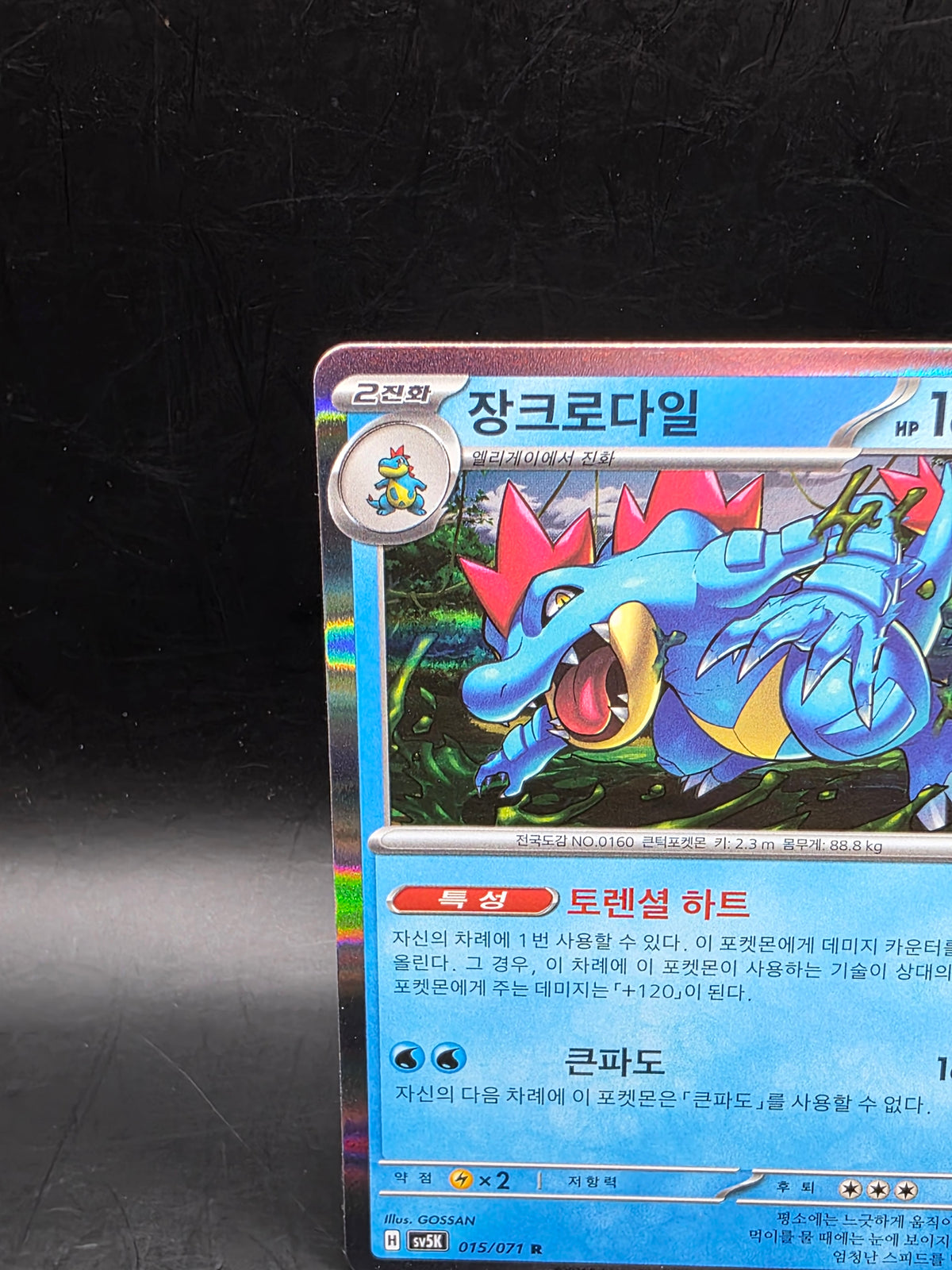 Pokémon TCG Feraligatr Neo Genesis Holo Card 015/071 R