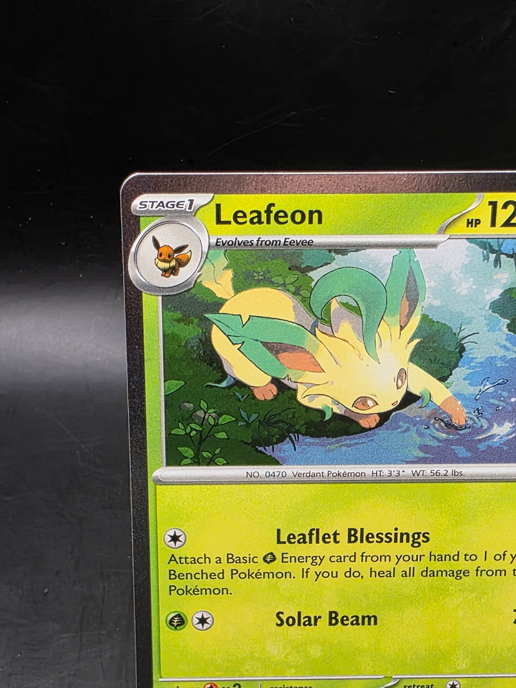 Leafeon SVP170 Scarlet & Violet Prismatic Evolutions Holo Promo Pokemon Card