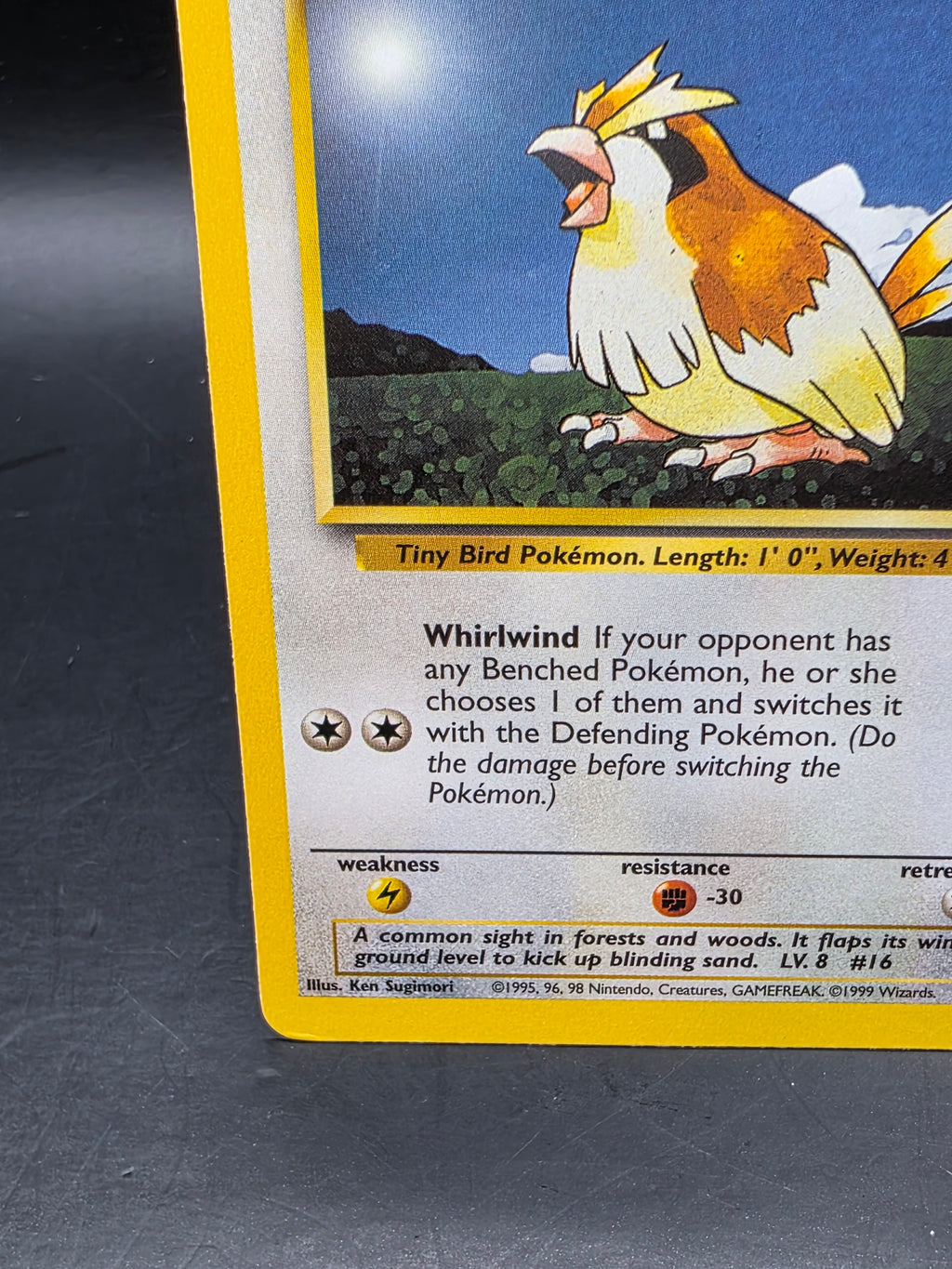 Pidgey 57/102 Common Base Set Unlimited Pokemon MP