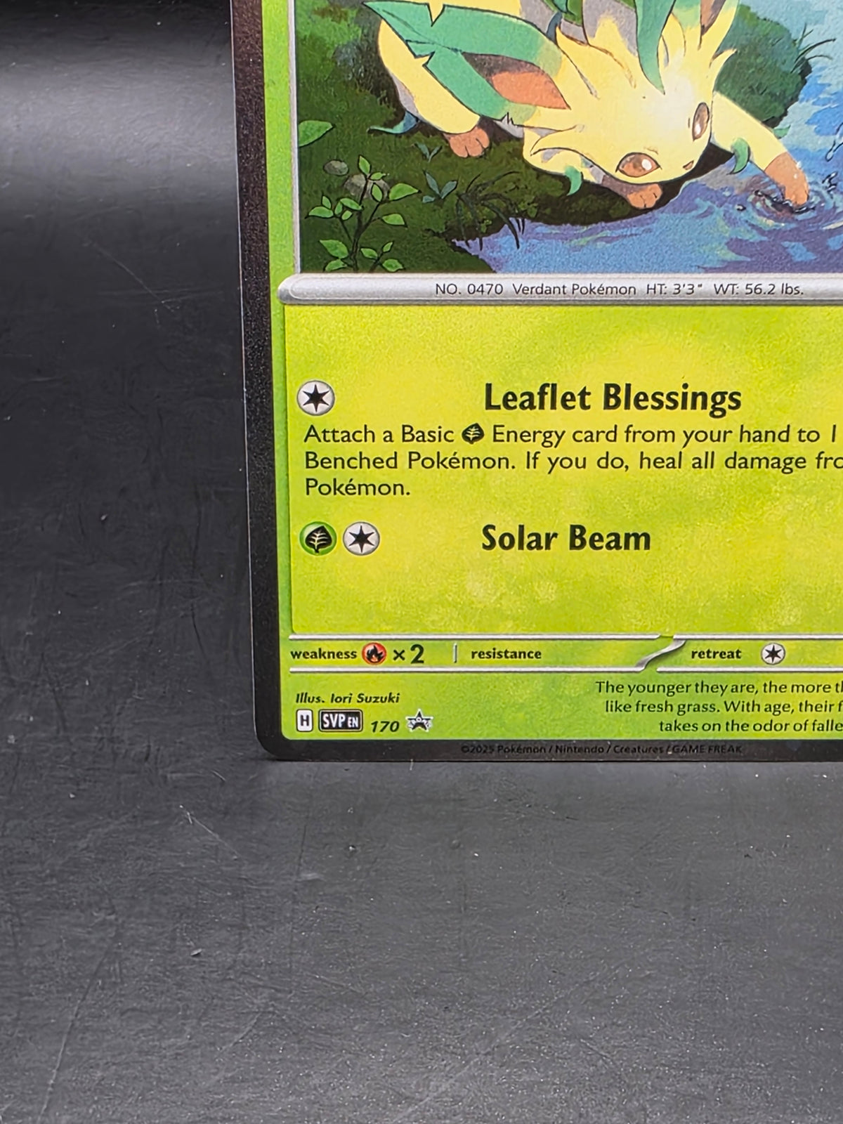 Leafeon SVP170 Scarlet & Violet Prismatic Evolutions Holo Promo Pokemon Card