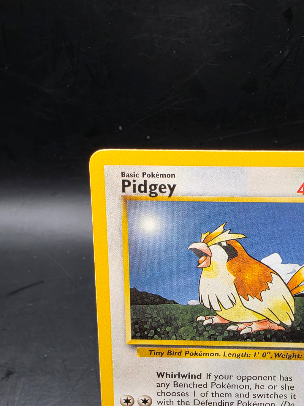 Pidgey 57/102 Common Base Set Unlimited Pokemon MP