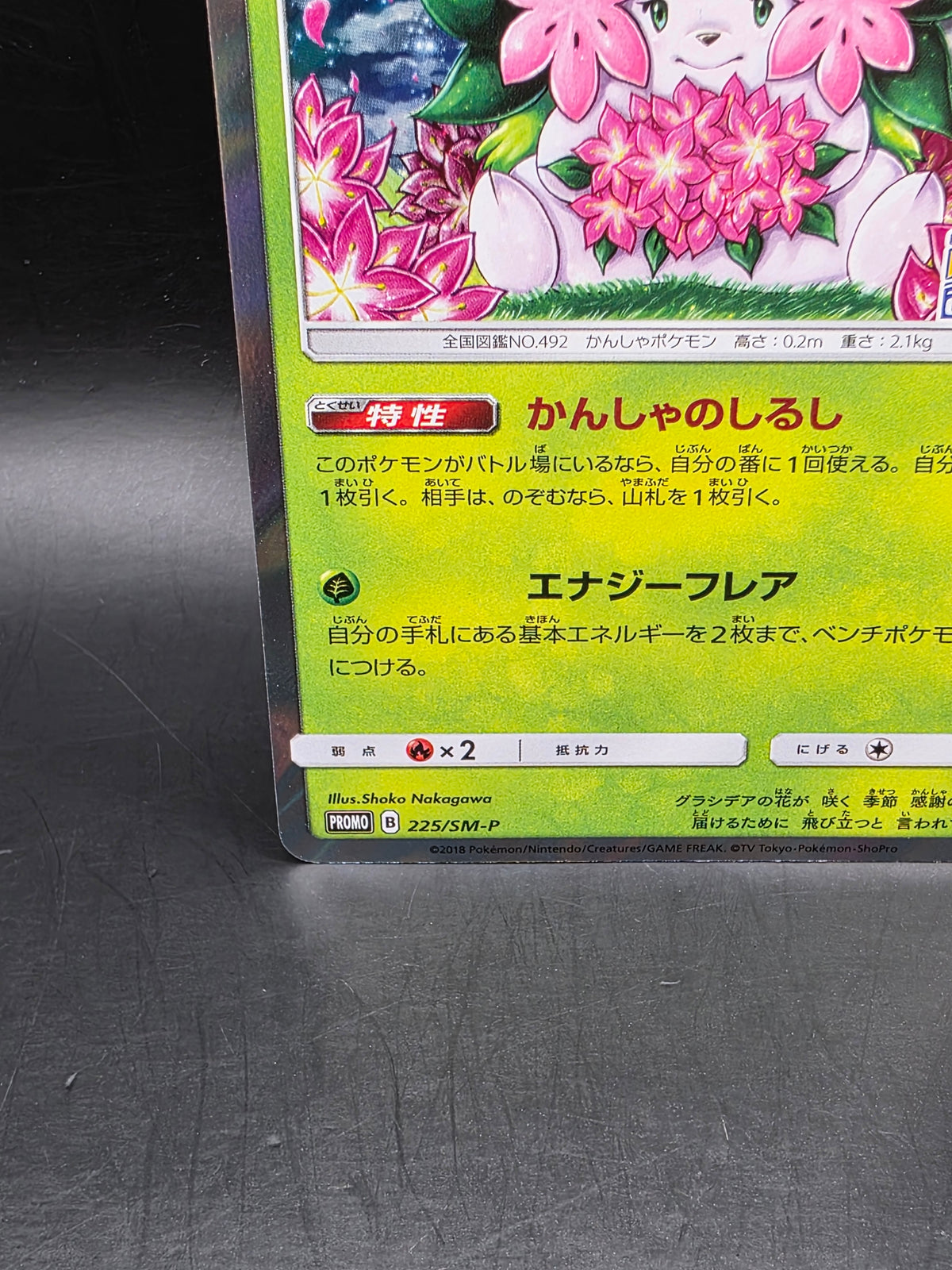 Shaymin Pokemon 2018 Holo PKMN Center 20th A Campaign Promo Japanese 225/SM-P